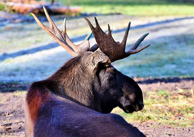 Wildpark Hundshaupten